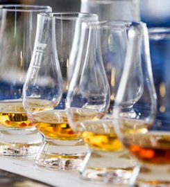 Marlborough Arms Deals