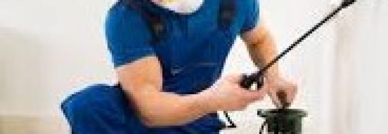 Pest Control Bayswater