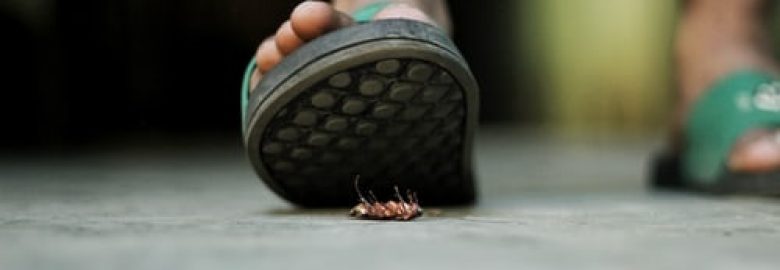 Swiftkill Pest Control