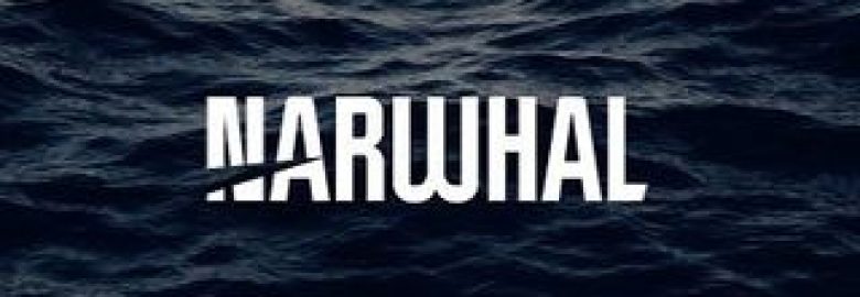 Narwhal Media Group