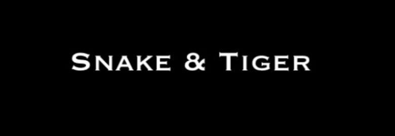 Snake And Tiger Tattoo
