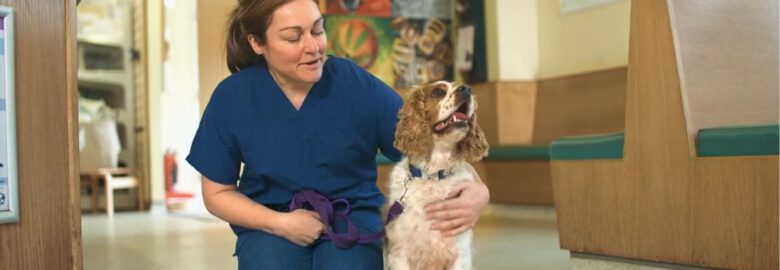 Sandhole Veterinary Centre