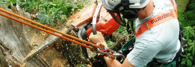 TD Tree & Land Services Ltd