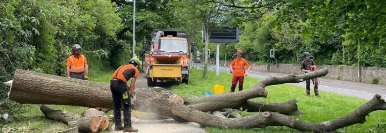 TD Tree & Land Services Ltd