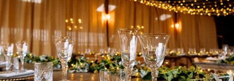 Vivid Bar Services