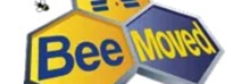 Bee Moved