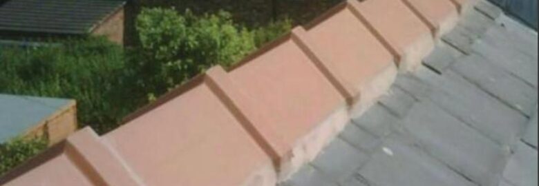 Forth Valley Roofing Ltd