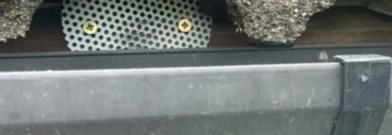 GC Pest Control Limited