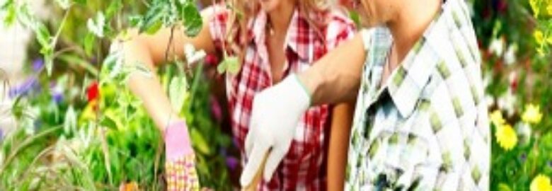 Pressure Washing Barnet