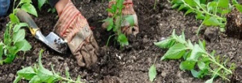 Pressure Washing Bermondsey