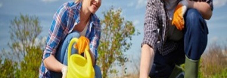 Pressure Washing Blackheath