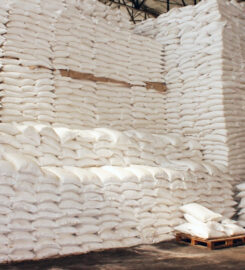 Mewar Polytex Ltd