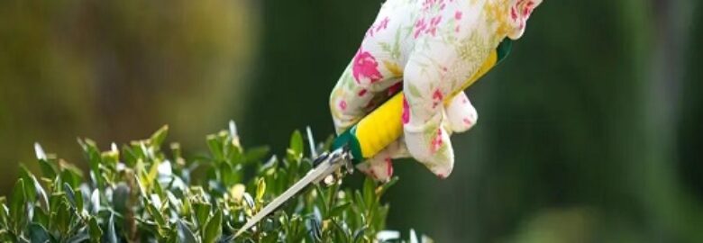 Pressure Washing Chelsea