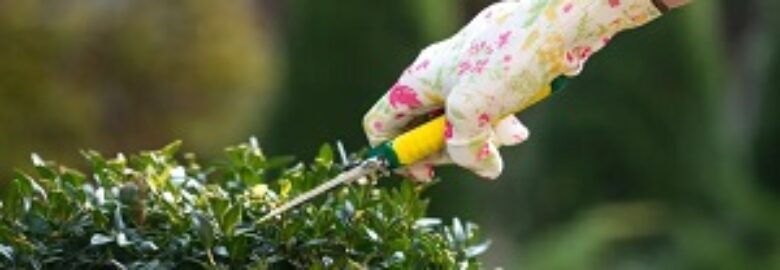 Pressure Washing St Johns Wood