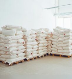 Mewar Polytex Ltd