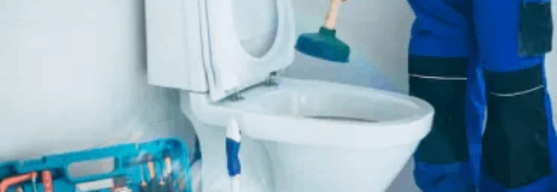 Professional Toilet Repairs at Your Disposal