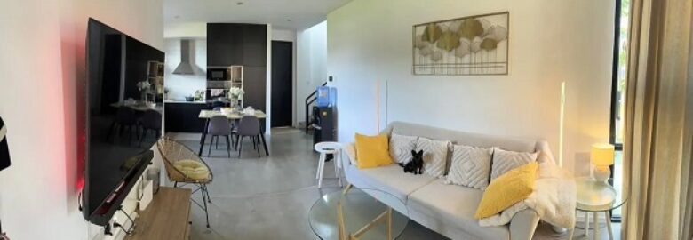 Kingston Painters and Decorators Ltd