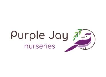 Purple Jay Peckham Rye