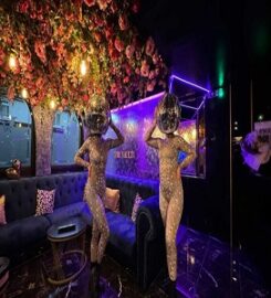 Disco Ball Heads