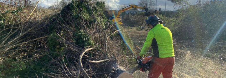 Everest Tree Services Ltd