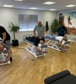 Willow Chiropractic – Emmersons Green