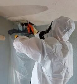 Artex Ceiling Removal London