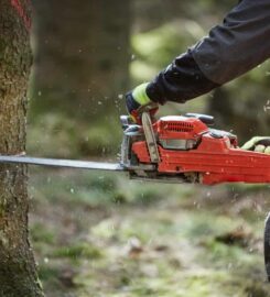 D Meadows Tree Surgery