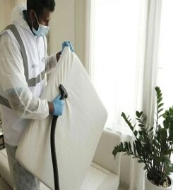 Bee Cleaning Services Manchester