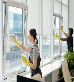 Bee Cleaning Services Manchester