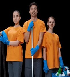 Bee Cleaning Services Manchester